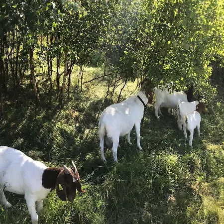 Country Flat Roskilde