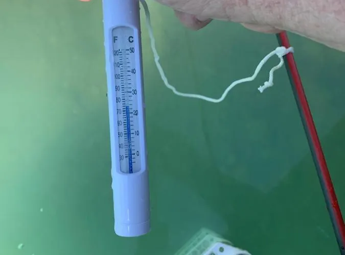 Country Flat Apartment Roskilde